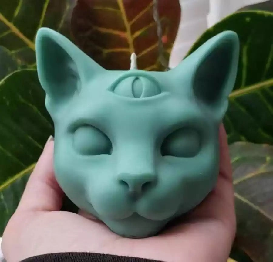 Third Eye Cat